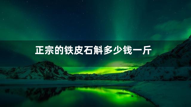 正宗的铁皮石斛多少钱一斤