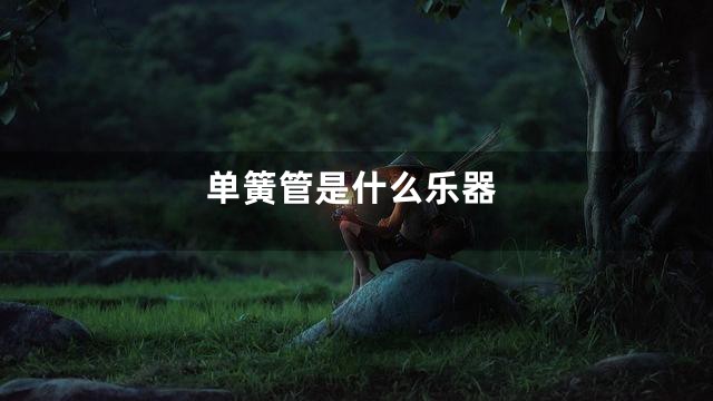 单簧管是什么乐器