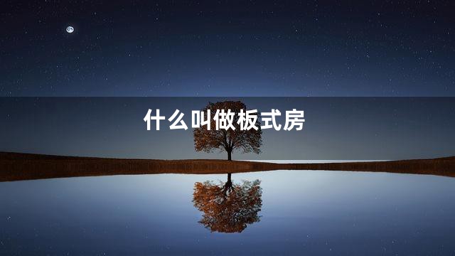 什么叫做板式房