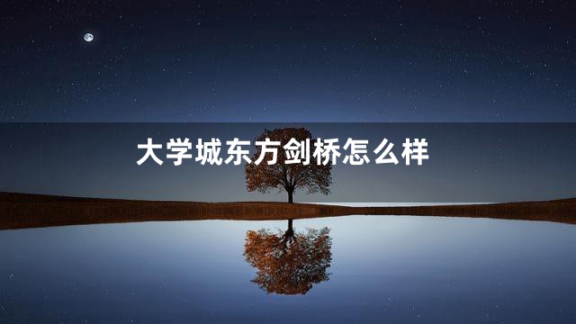 大学城东方剑桥怎么样