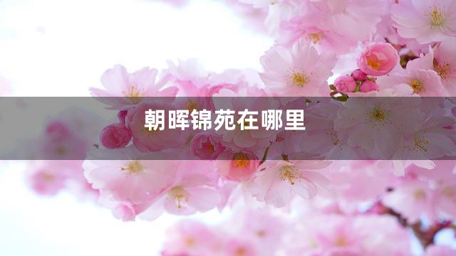 朝晖锦苑在哪里