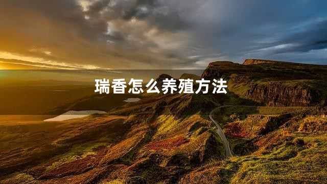 瑞香怎么养殖方法