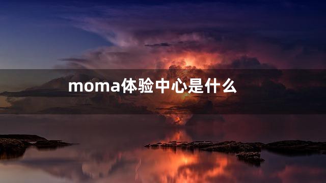 moma体验中心是什么