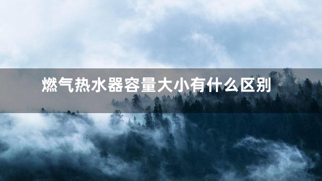 燃气热水器容量大小有什么区别