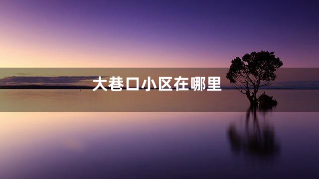 大巷口小区在哪里