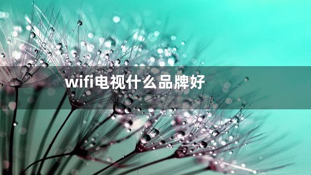 wifi电视什么品牌好