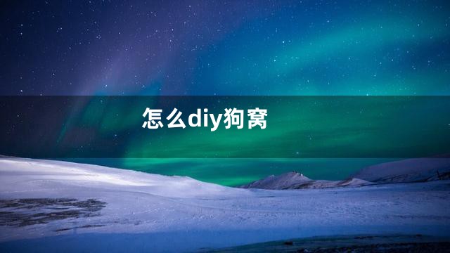 怎么diy狗窝