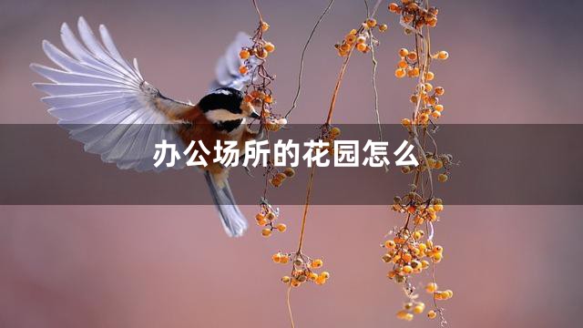 办公场所的花园怎么