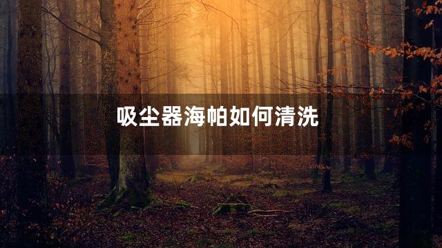 吸尘器海帕如何清洗
