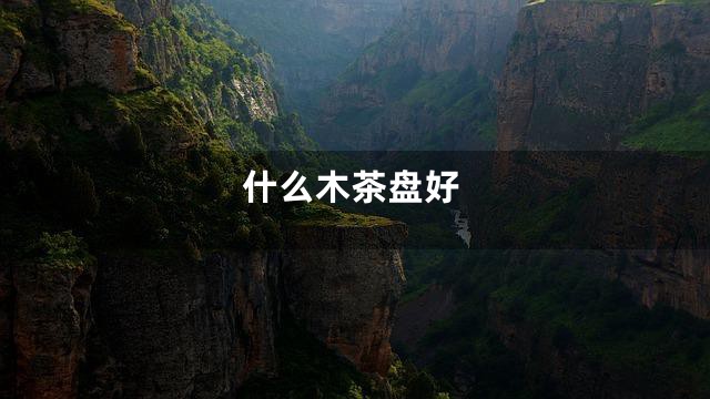 什么木茶盘好