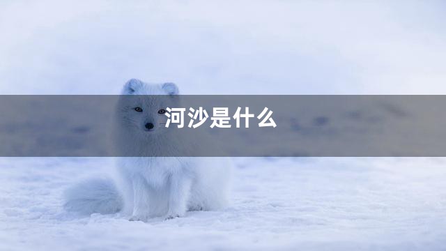 河沙是什么