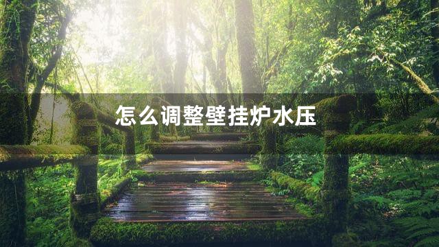 怎么调整壁挂炉水压