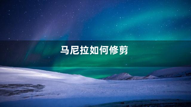 马尼拉如何修剪