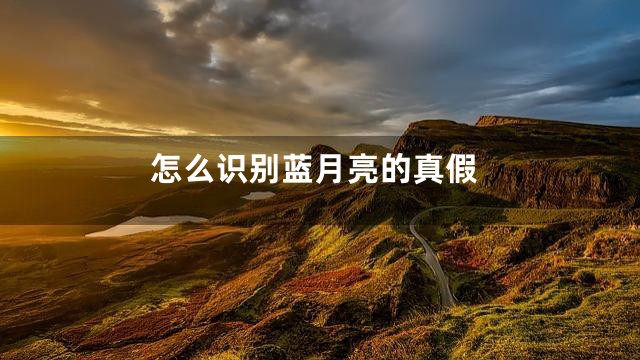 怎么识别蓝月亮的真假