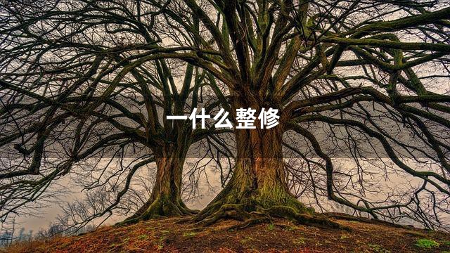 一什么整修