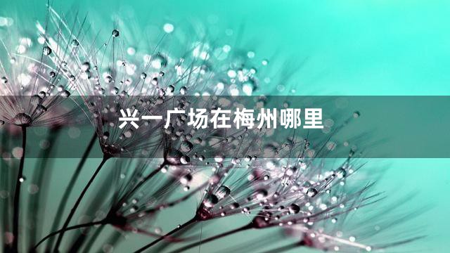 兴一广场在梅州哪里