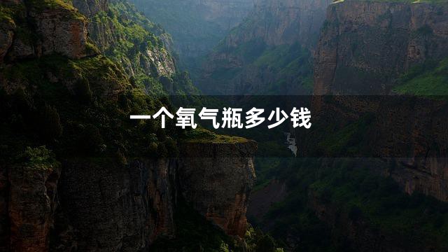 一个氧气瓶多少钱