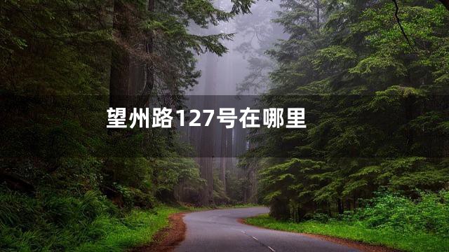 望州路127号在哪里
