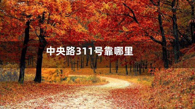 中央路311号靠哪里