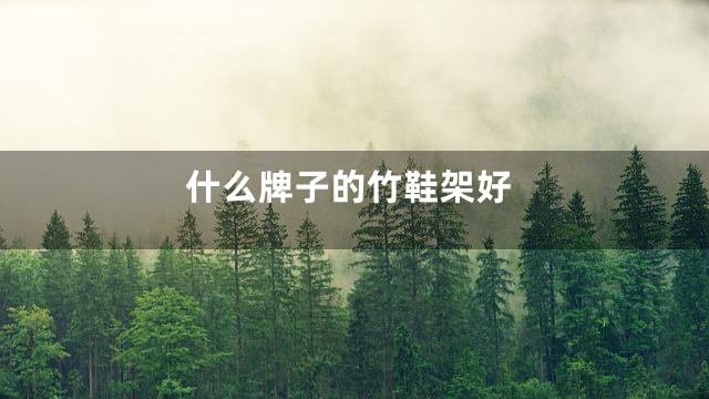 什么牌子的竹鞋架好