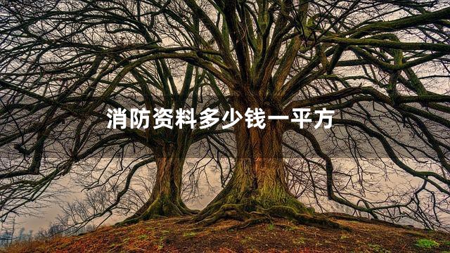 消防资料多少钱一平方