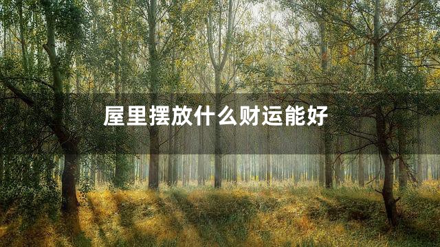 屋里摆放什么财运能好