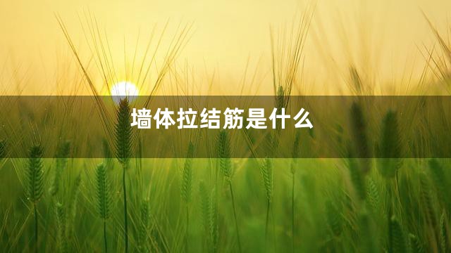 墙体拉结筋是什么