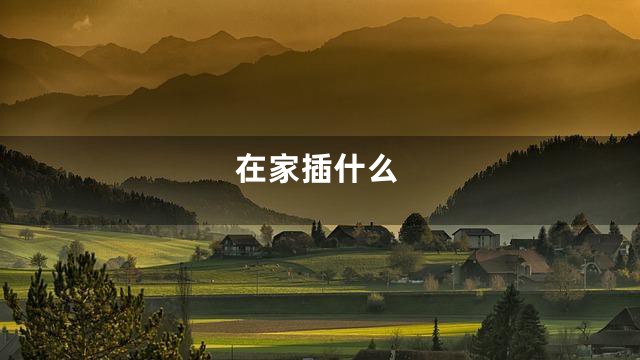 在家插什么