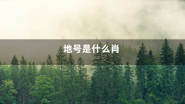 地号是什么肖