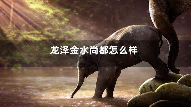 龙泽金水尚都怎么样