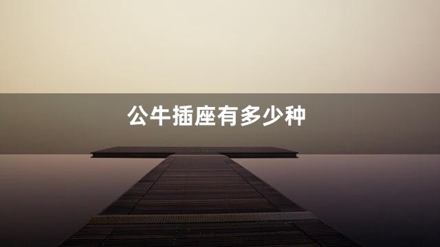 公牛插座有多少种