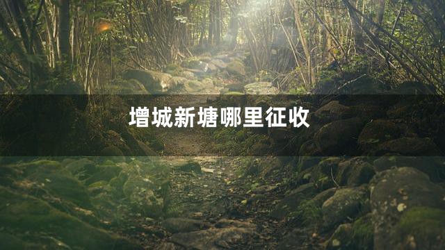 增城新塘哪里征收