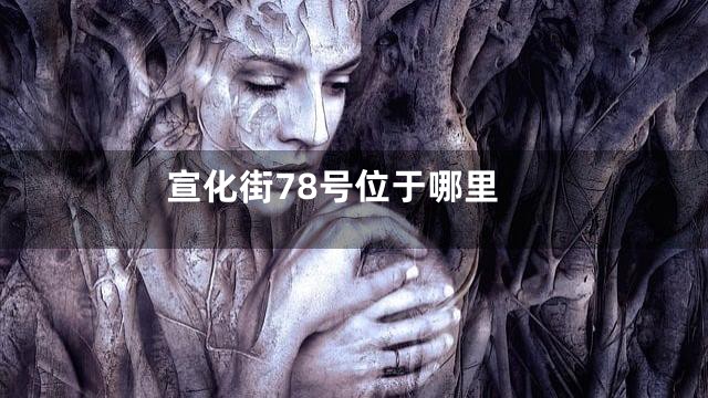 宣化街78号位于哪里