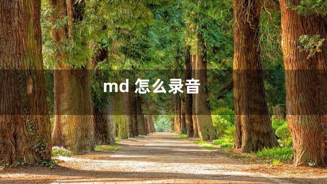 md 怎么录音