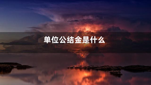 单位公结金是什么