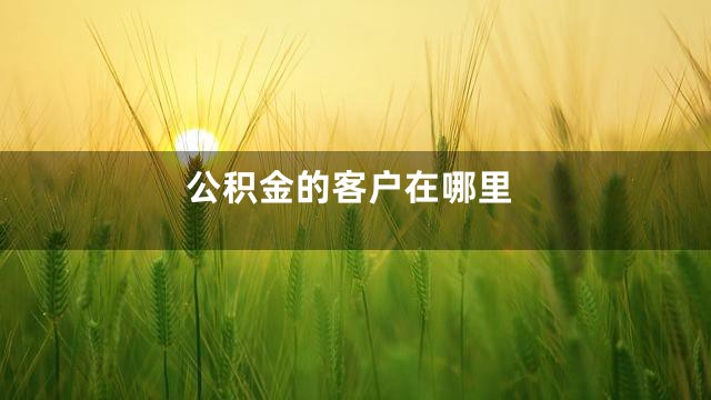 公积金的客户在哪里