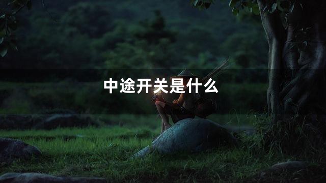 中途开关是什么