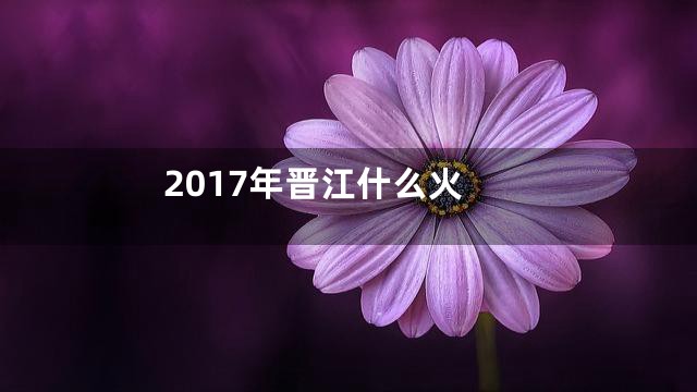 2017年晋江什么火