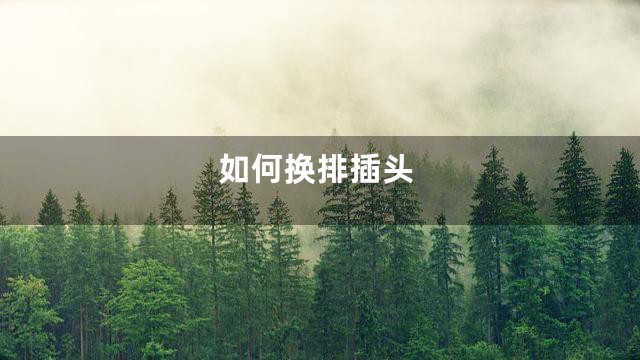 如何换排插头
