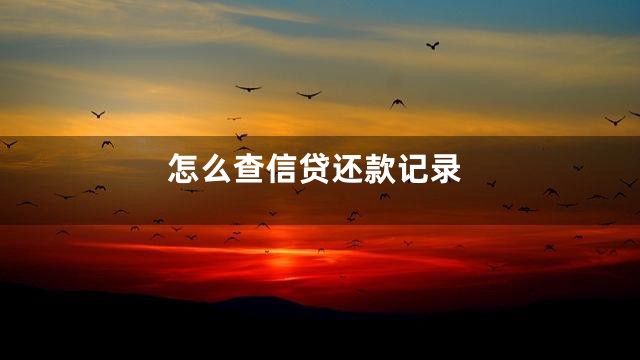怎么查信贷还款记录