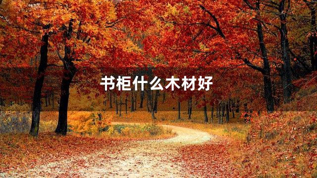 书柜什么木材好