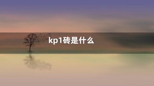 kp1砖是什么