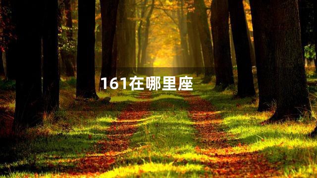 161在哪里座