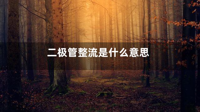 二极管整流是什么意思