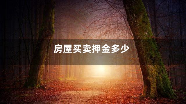 房屋买卖押金多少