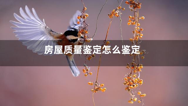 房屋质量鉴定怎么鉴定
