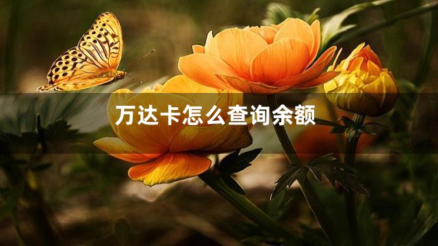 万达卡怎么查询余额