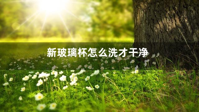 新玻璃杯怎么洗才干净