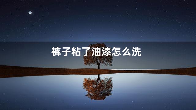 裤子粘了油漆怎么洗