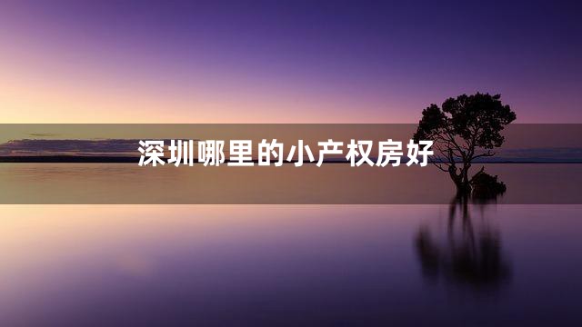 深圳哪里的小产权房好